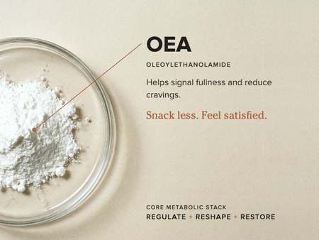 OEA, oleolethanolamide signals fullness and reduces cravings