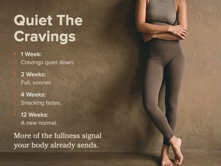 regulate appetite control schedule